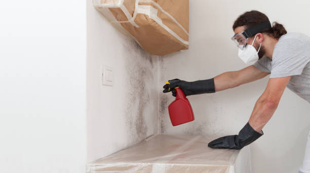 Professional Bathroom Mold Removal technician working in Afton, MN